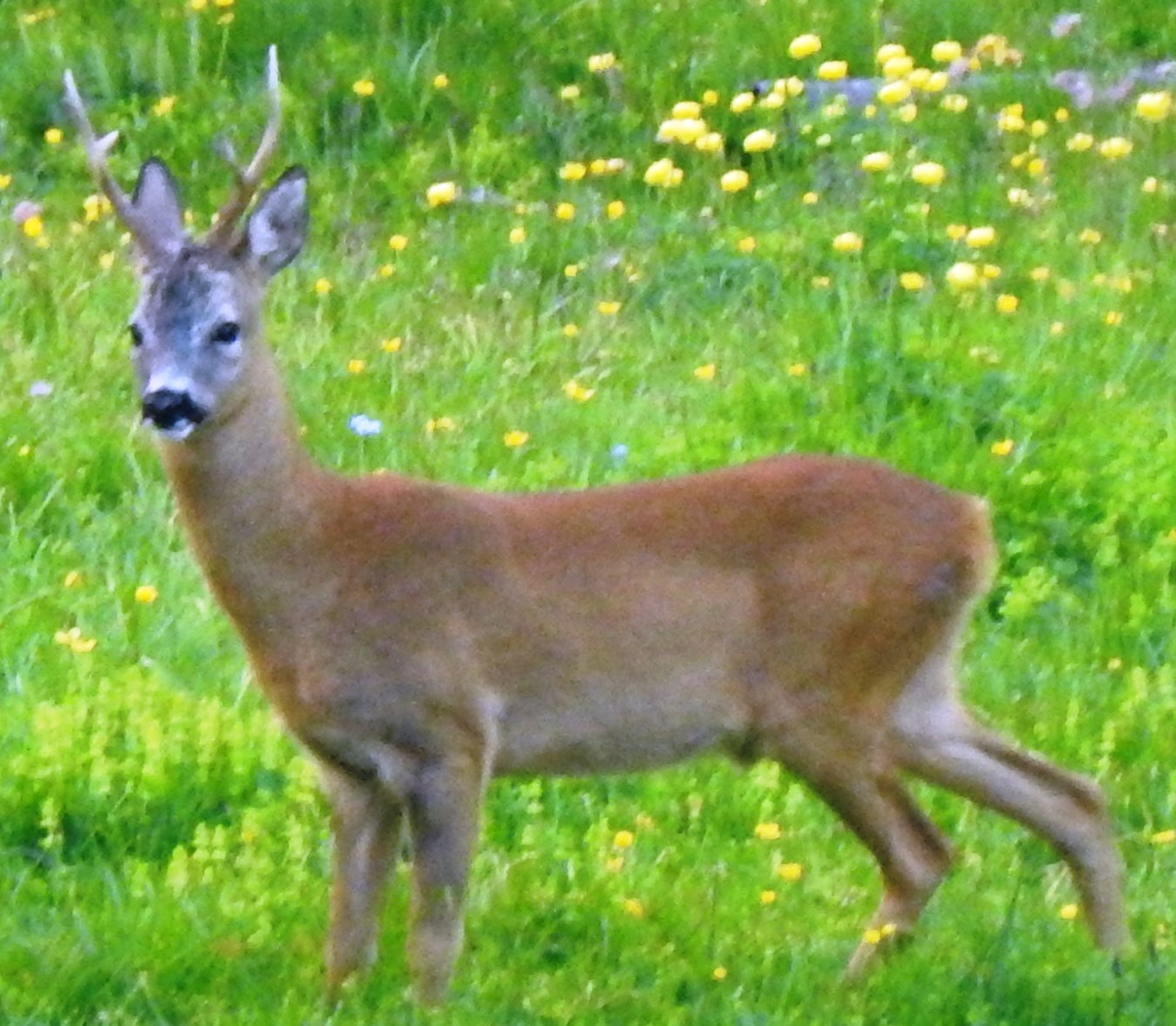 Nessuna Foto